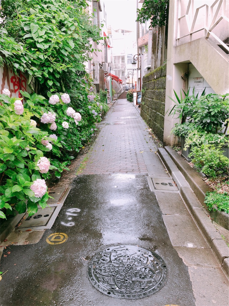 f:id:chizuchizuko:20190622102046j:plain f:id:chizuchizuko:20190622102046j:plain