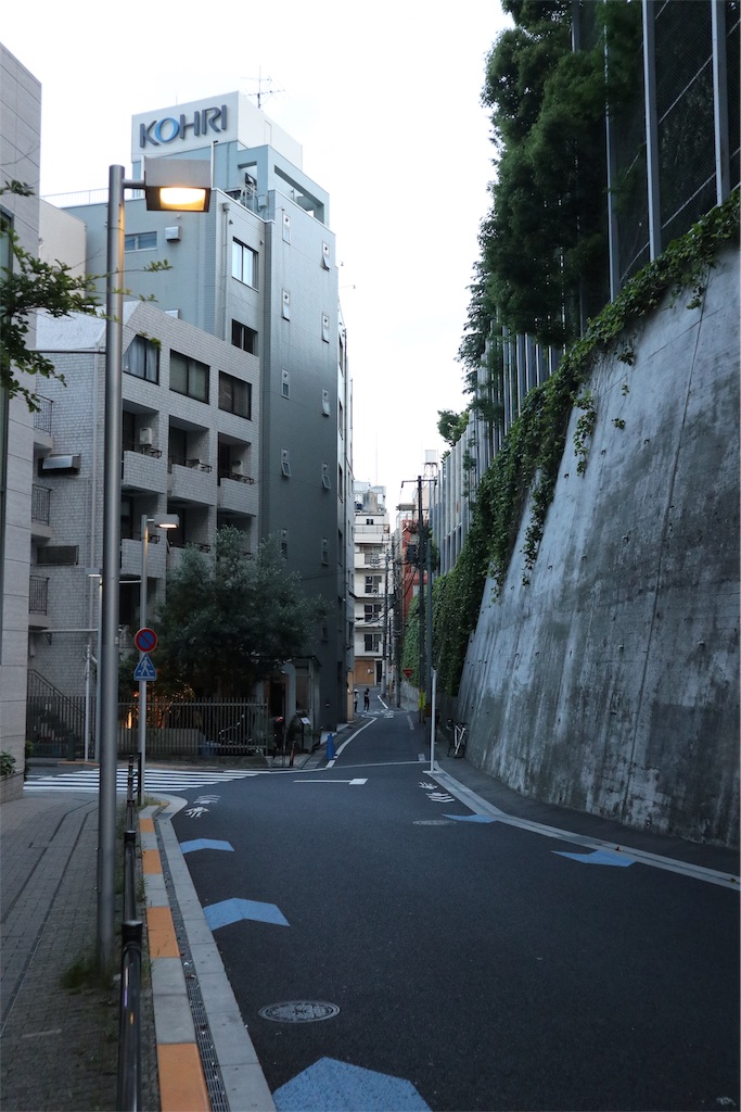 f:id:chizuchizuko:20190623133717j:image