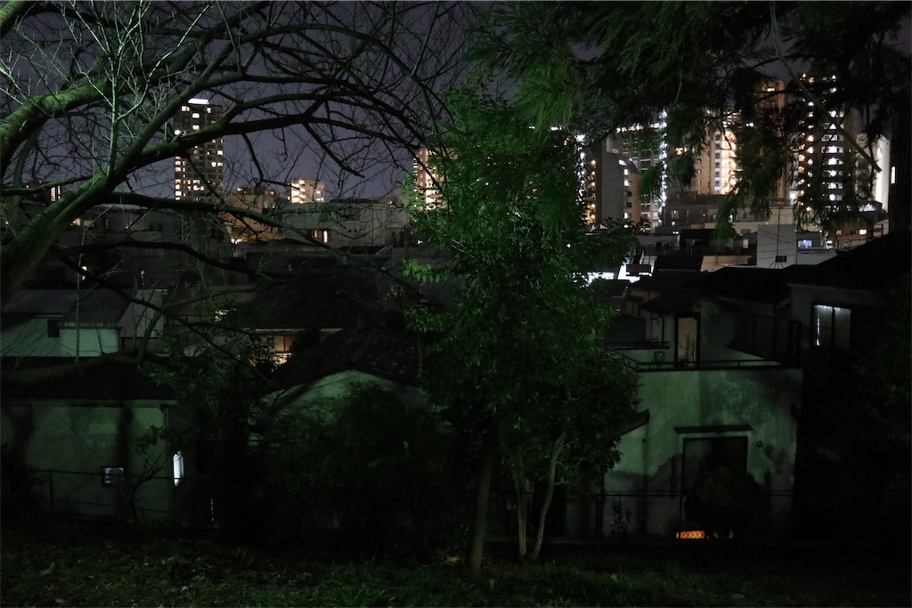 f:id:chizuchizuko:20190623134540j:image