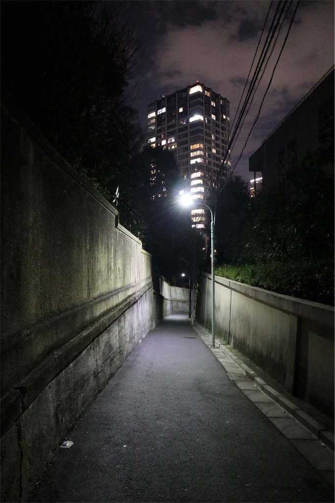 f:id:chizuchizuko:20190623134625j:plain