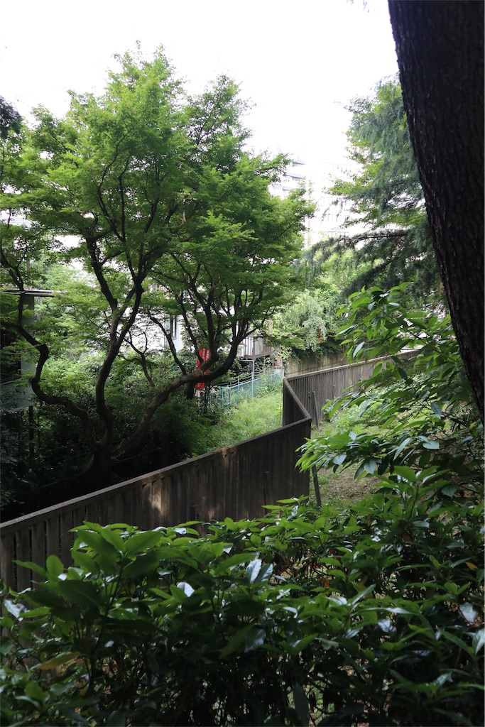 f:id:chizuchizuko:20190711212514j:image f:id:chizuchizuko:20190711212514j:image