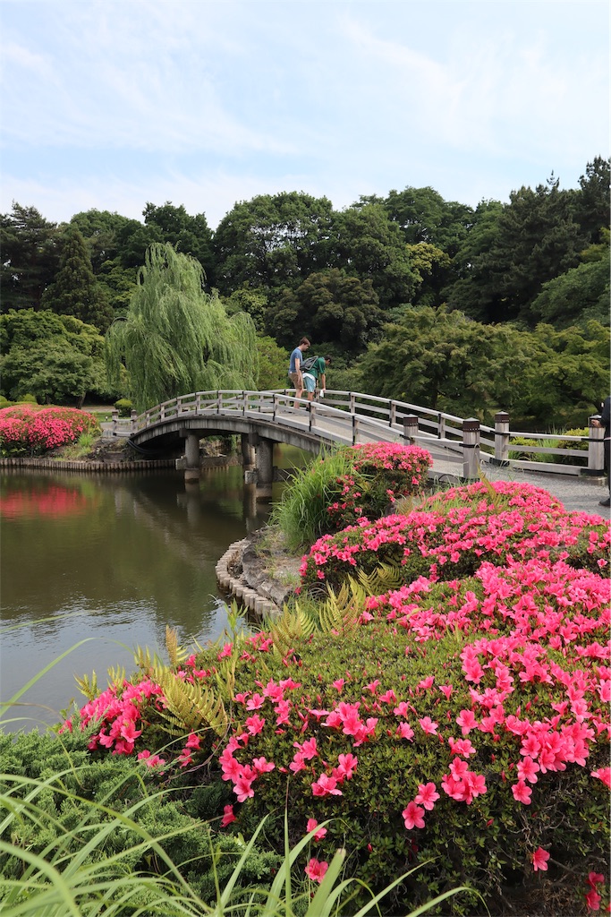 f:id:chizuchizuko:20190711212523j:image f:id:chizuchizuko:20190711212523j:image