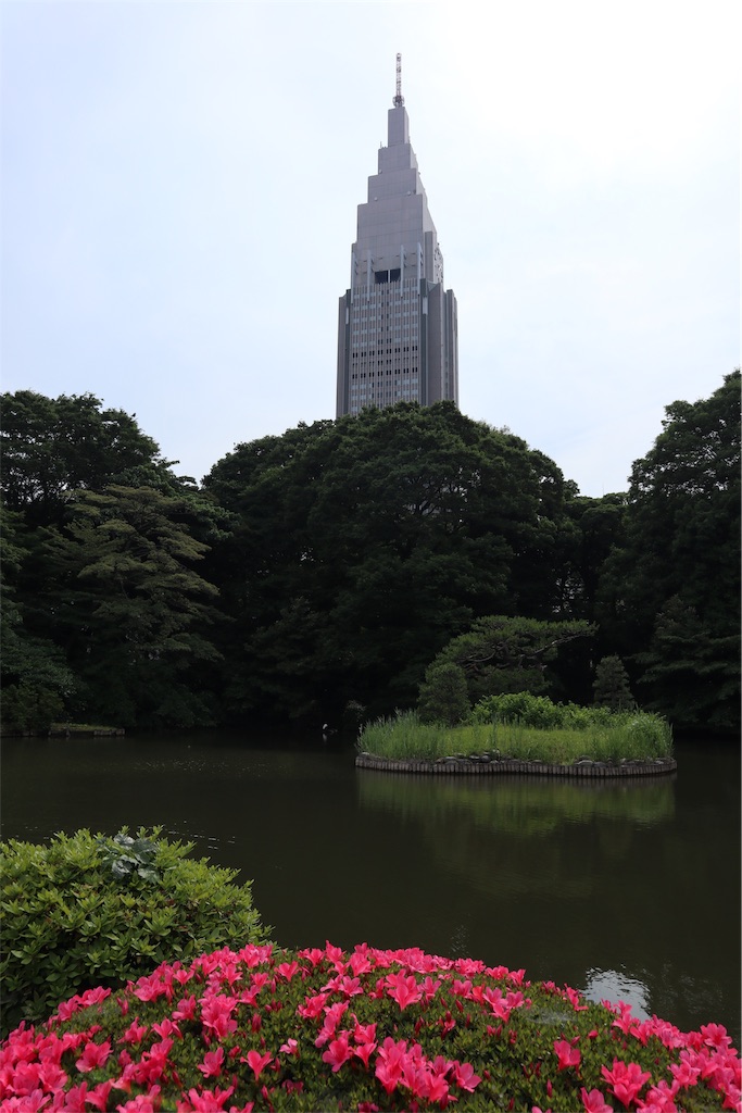 f:id:chizuchizuko:20190711212528j:plain f:id:chizuchizuko:20190711212528j:plain