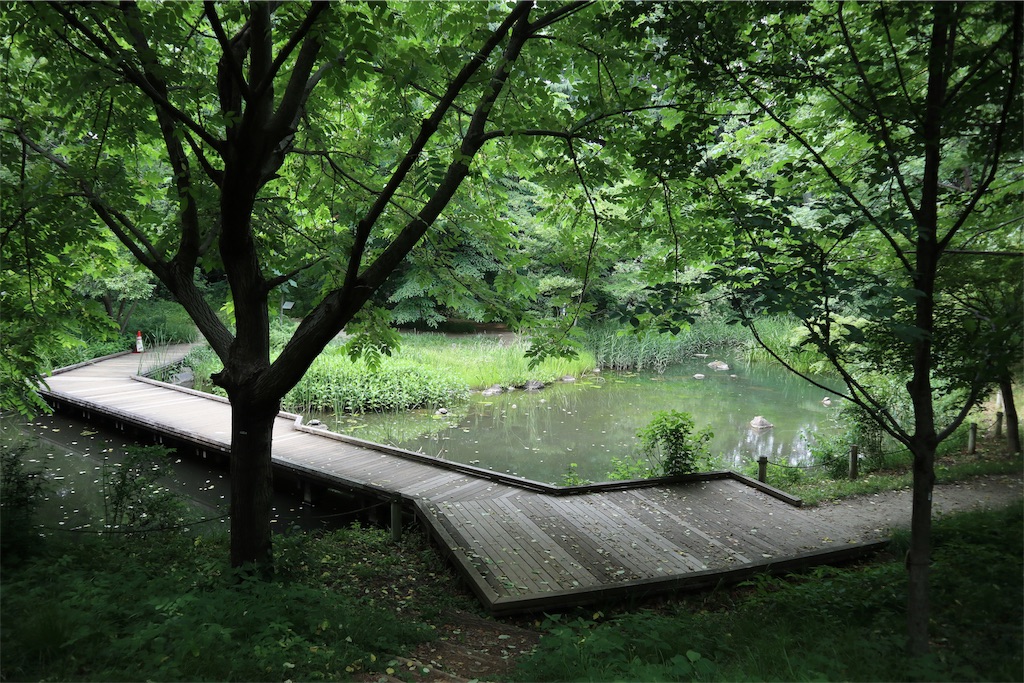 f:id:chizuchizuko:20190711212553j:image f:id:chizuchizuko:20190711212553j:image
