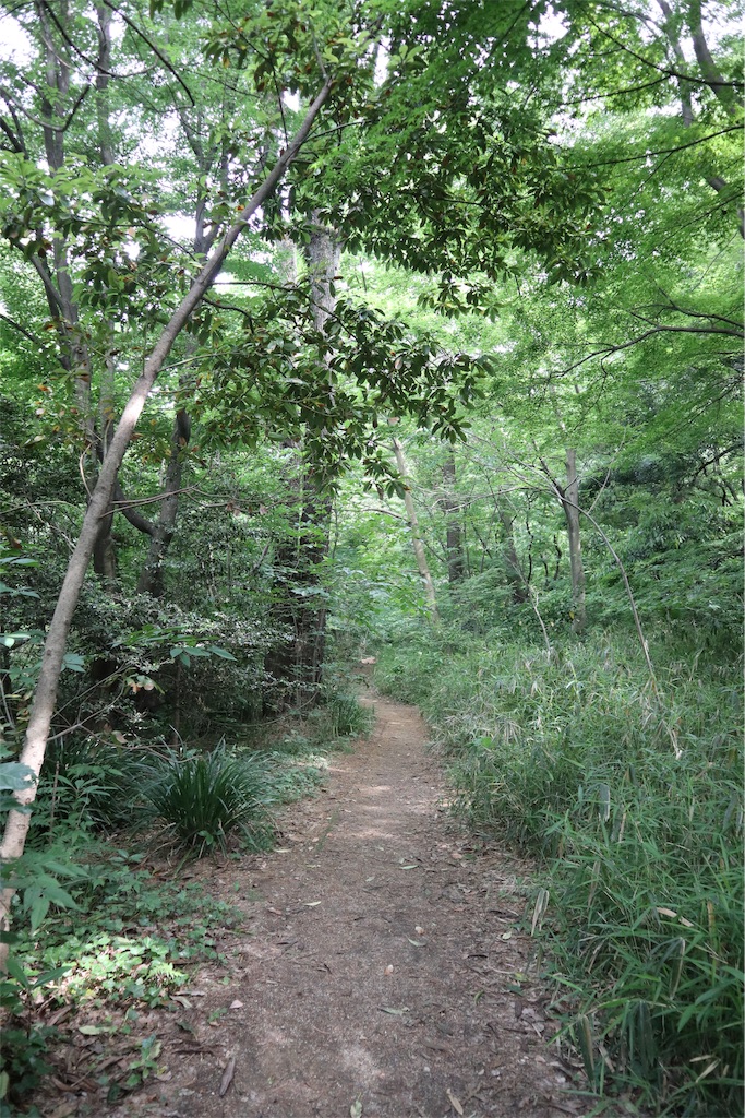 f:id:chizuchizuko:20190711212624j:image f:id:chizuchizuko:20190711212624j:image
