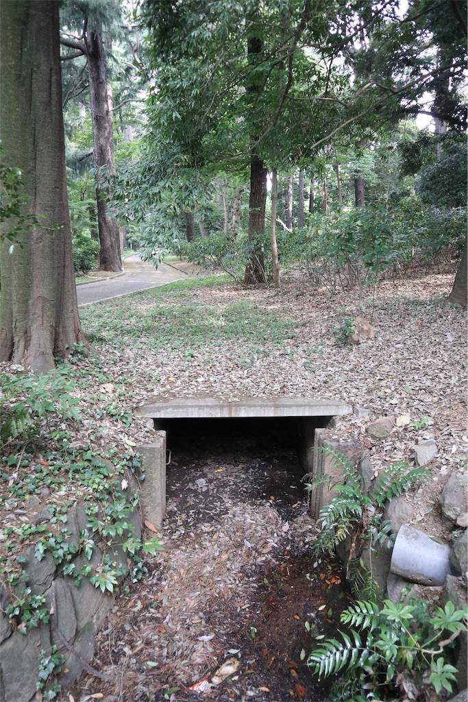 f:id:chizuchizuko:20190711212632j:plain f:id:chizuchizuko:20190711212632j:plain