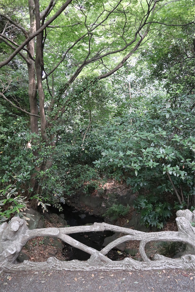 f:id:chizuchizuko:20190713104050j:image f:id:chizuchizuko:20190713104050j:image