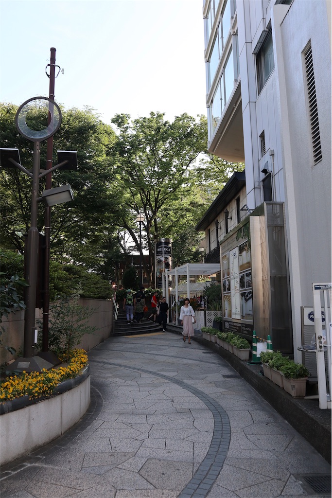 f:id:chizuchizuko:20190713111120j:image f:id:chizuchizuko:20190713111120j:image
