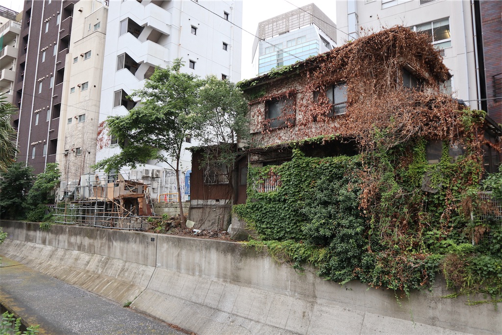 f:id:chizuchizuko:20190725210734j:image f:id:chizuchizuko:20190725210734j:image