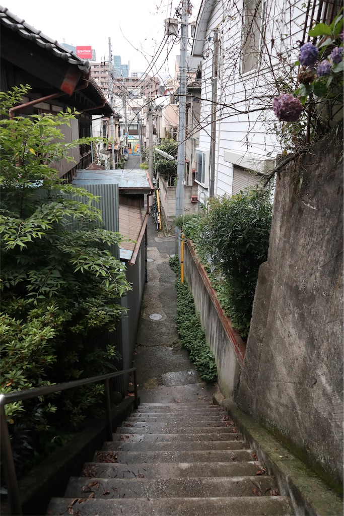 f:id:chizuchizuko:20190725211108j:plain f:id:chizuchizuko:20190725211108j:plain
