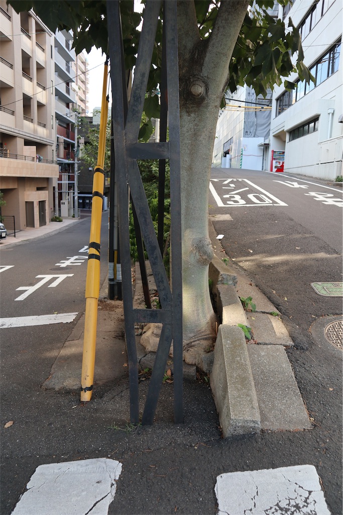 f:id:chizuchizuko:20190815191946j:image