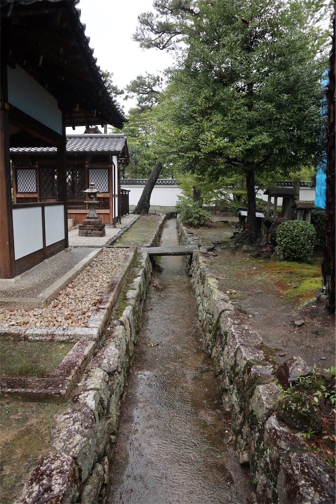 f:id:chizuchizuko:20191012151435j:image