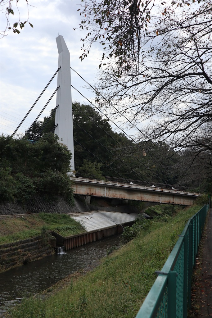 f:id:chizuchizuko:20191020190004j:image