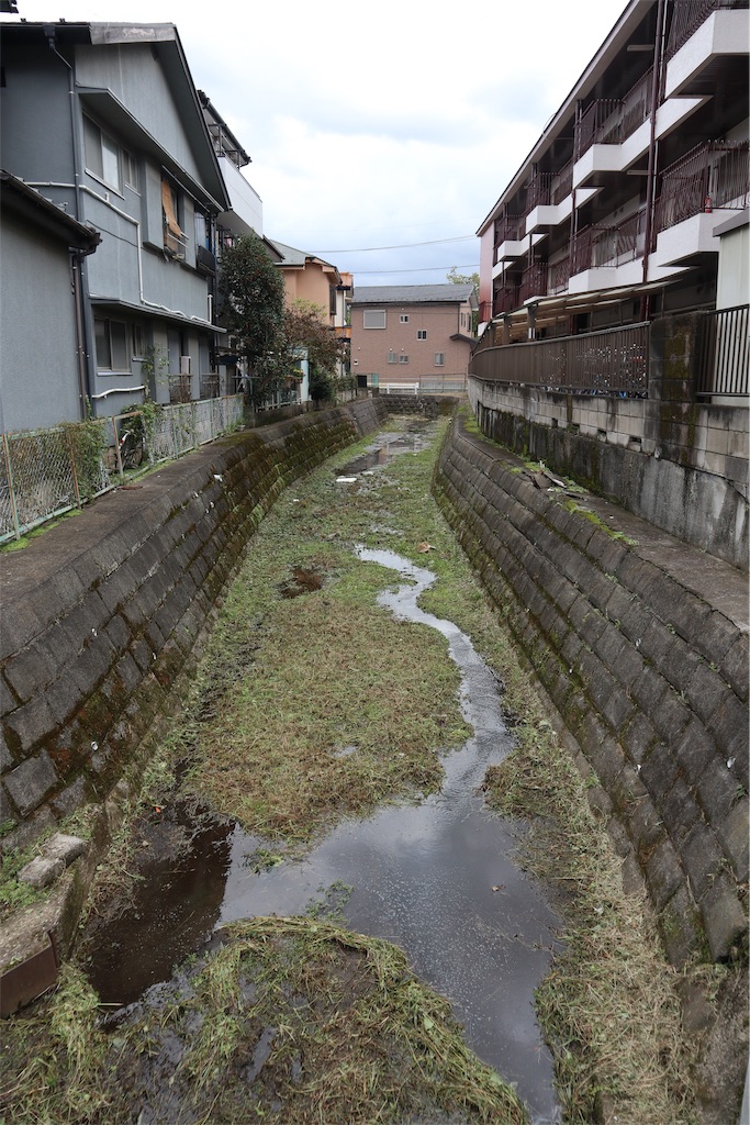f:id:chizuchizuko:20191020190100j:image