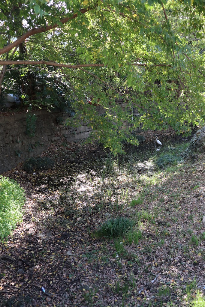 f:id:chizuchizuko:20191110163139j:image f:id:chizuchizuko:20191110163139j:image