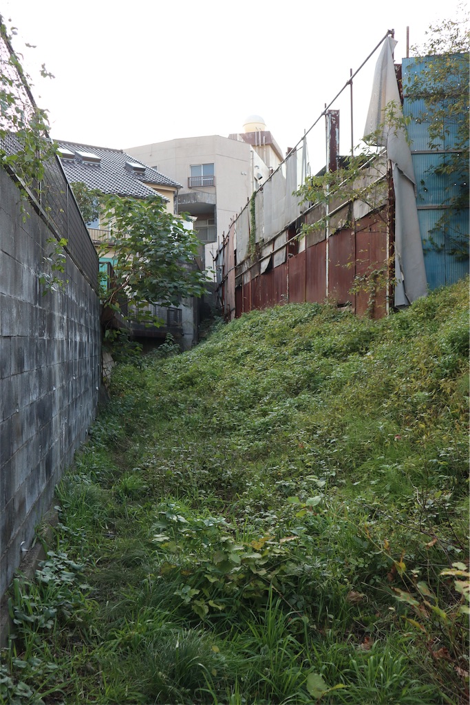 f:id:chizuchizuko:20191110163210j:image f:id:chizuchizuko:20191110163210j:image