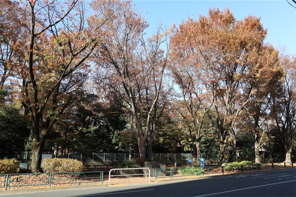 f:id:chizuchizuko:20191201180618j:image