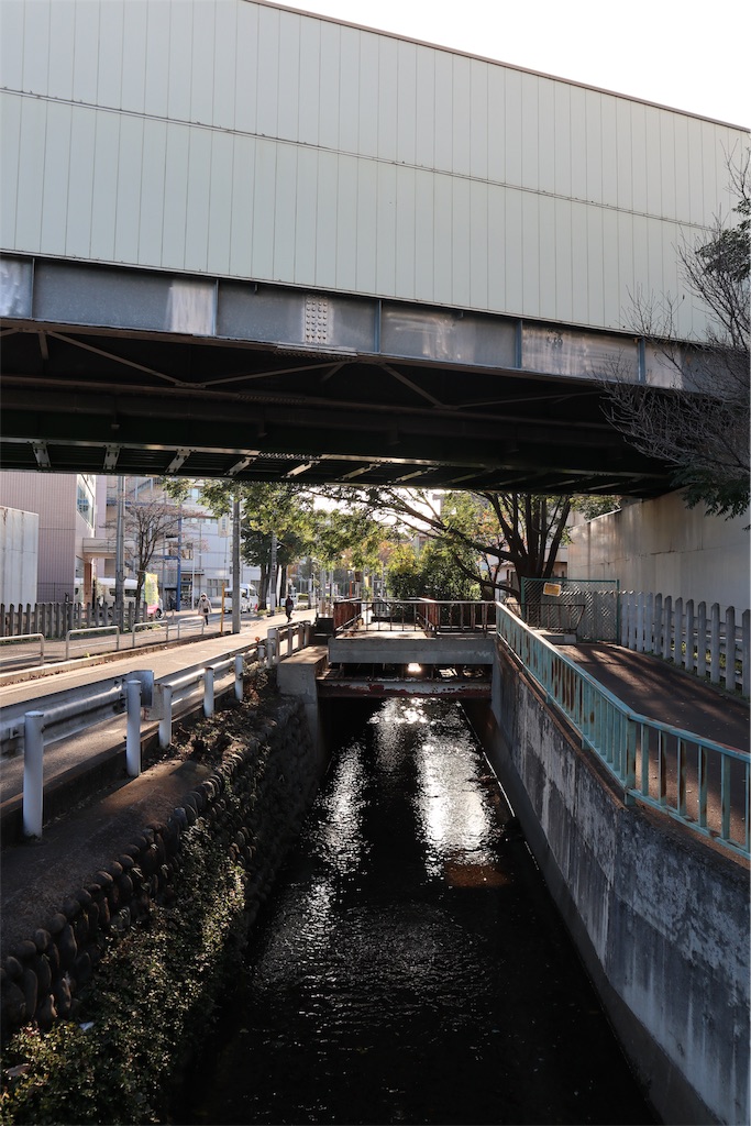 f:id:chizuchizuko:20191201180928j:image