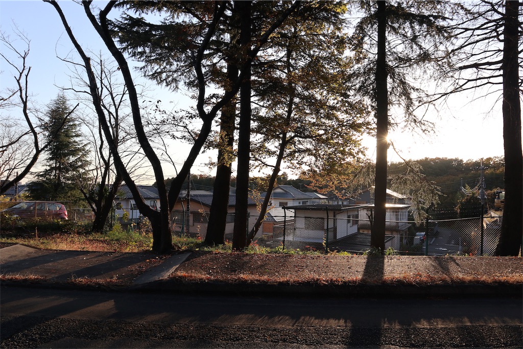 f:id:chizuchizuko:20191201181308j:image