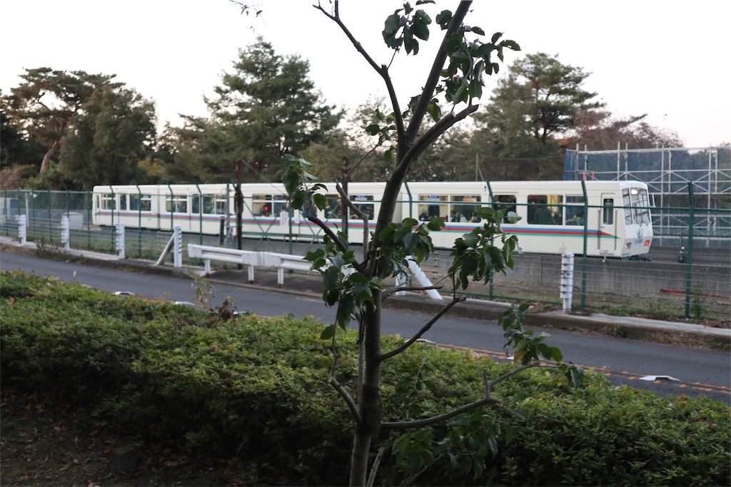 f:id:chizuchizuko:20191201181436j:image