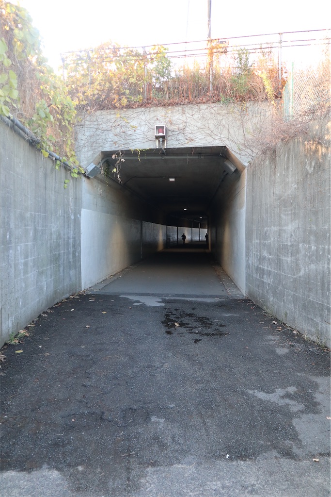 f:id:chizuchizuko:20191208195415j:image f:id:chizuchizuko:20191208195415j:image