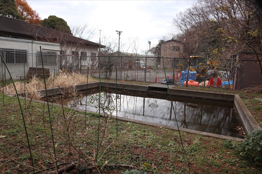 f:id:chizuchizuko:20191227230240j:image f:id:chizuchizuko:20191227230240j:image