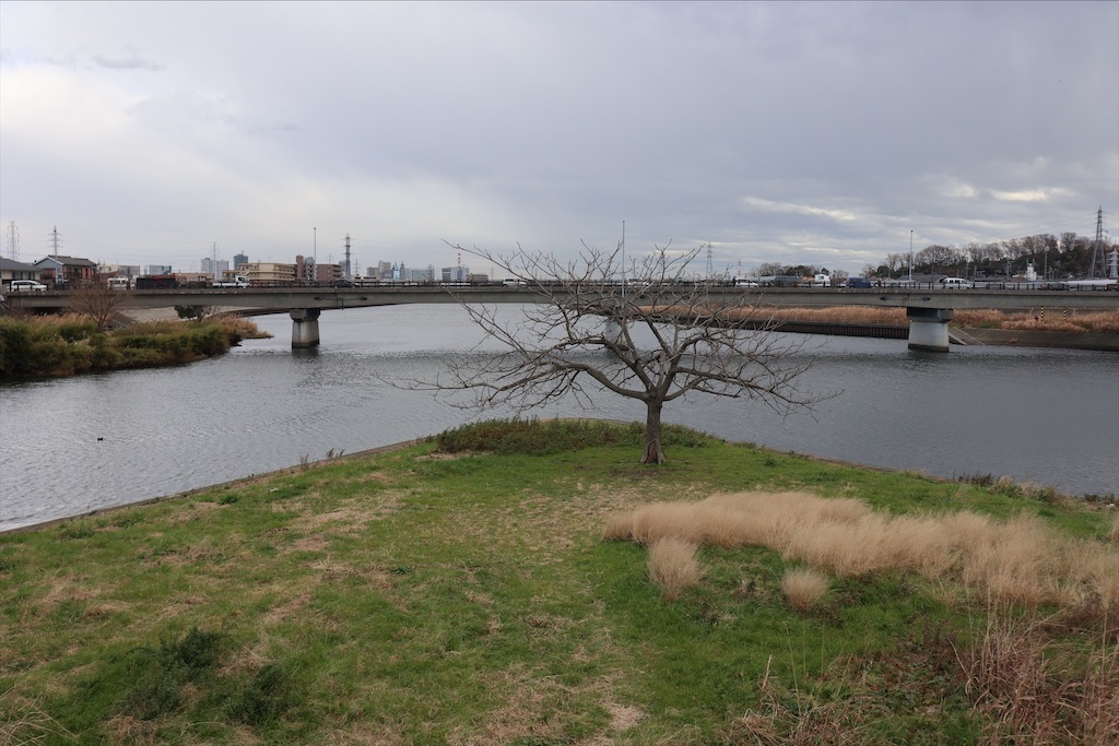 f:id:chizuchizuko:20191227230404j:image f:id:chizuchizuko:20191227230404j:image