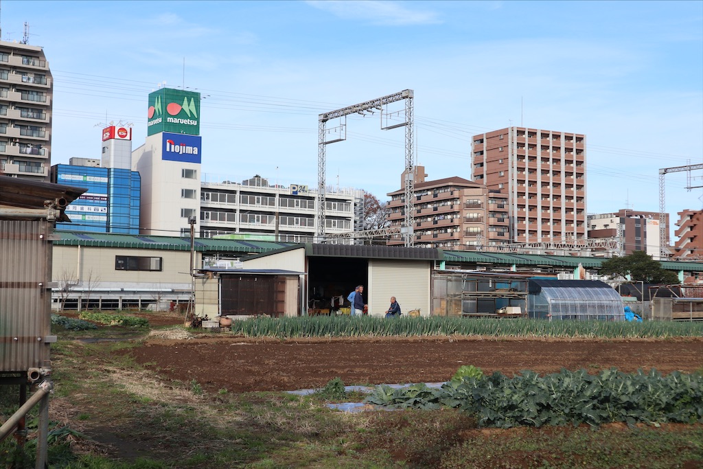 f:id:chizuchizuko:20191227232136j:image
