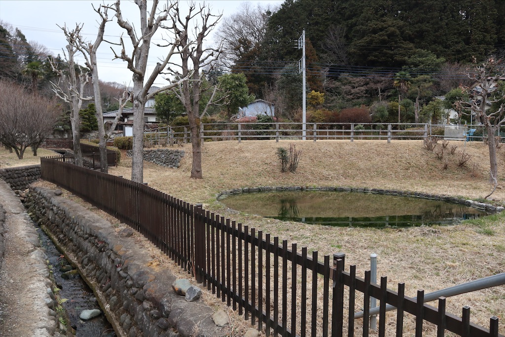 f:id:chizuchizuko:20200107193116j:image