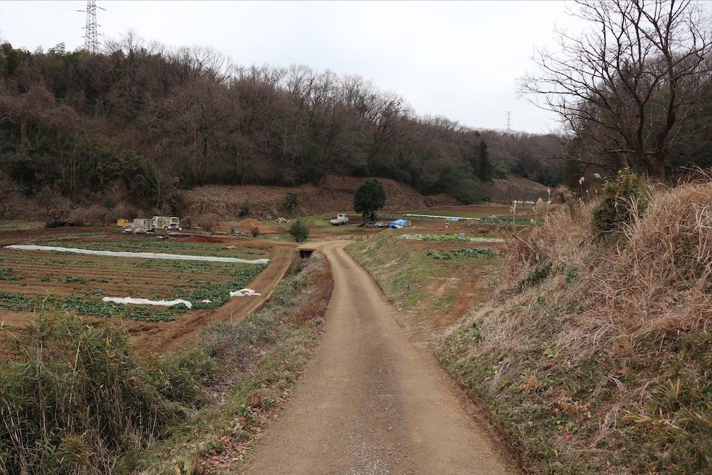 f:id:chizuchizuko:20200107193136j:image