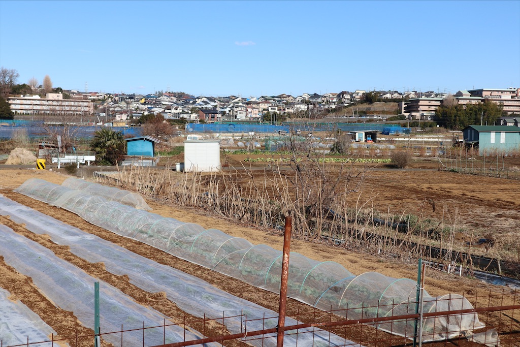 f:id:chizuchizuko:20200111001532j:image f:id:chizuchizuko:20200111001532j:image
