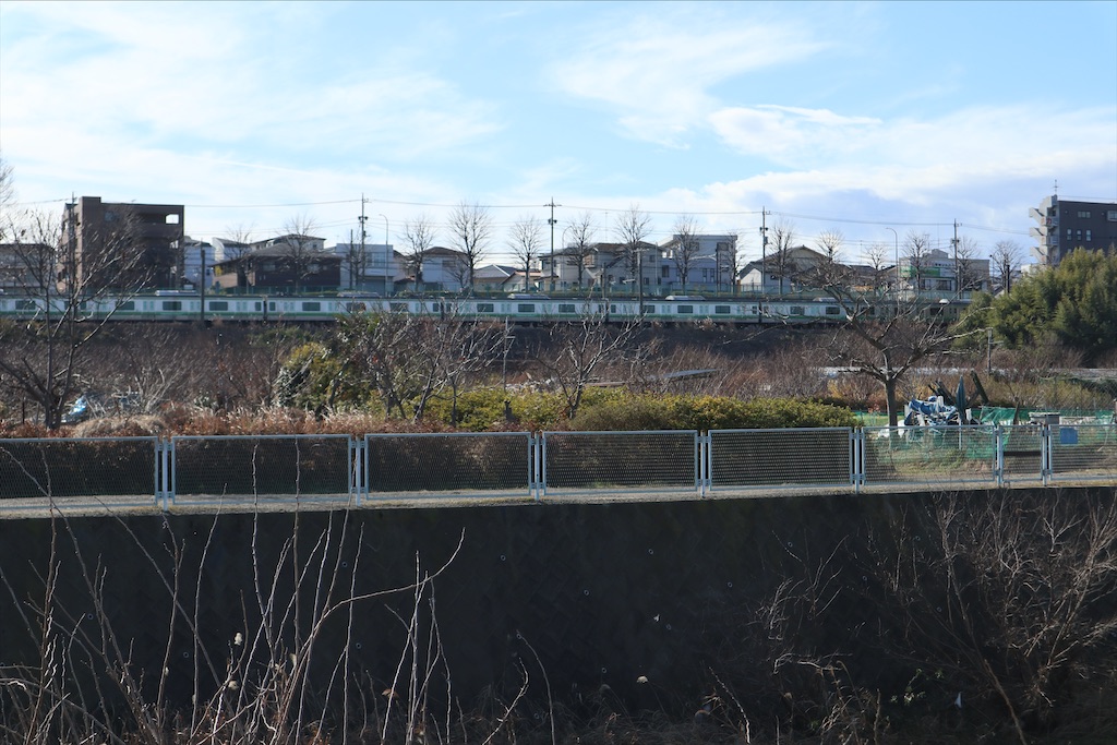 f:id:chizuchizuko:20200111001537j:image f:id:chizuchizuko:20200111001537j:image