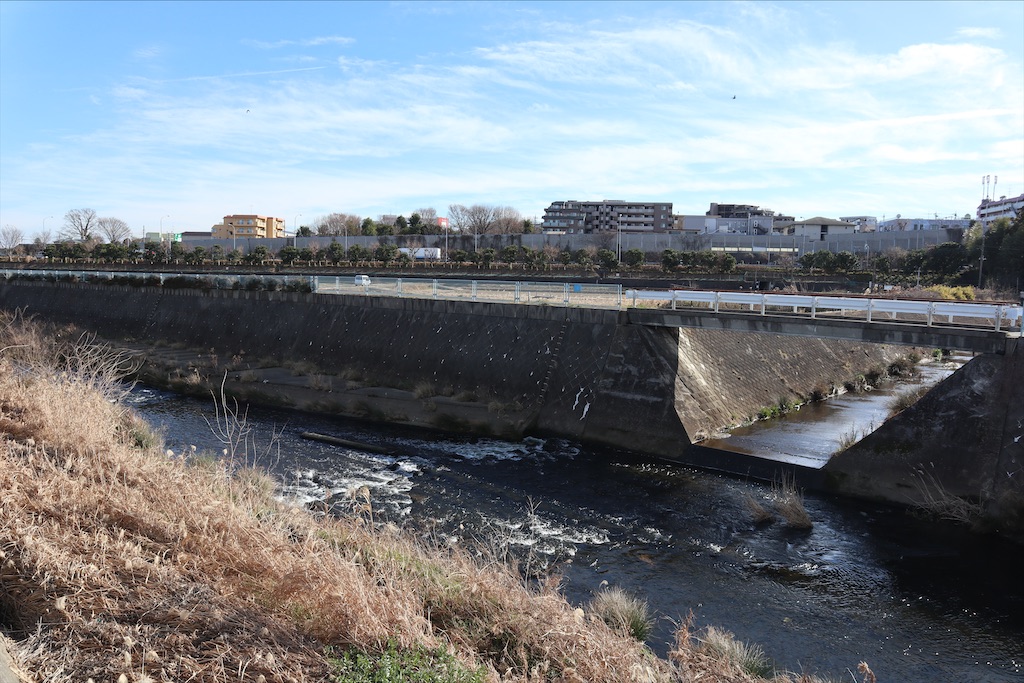 f:id:chizuchizuko:20200111001754j:image f:id:chizuchizuko:20200111001754j:image