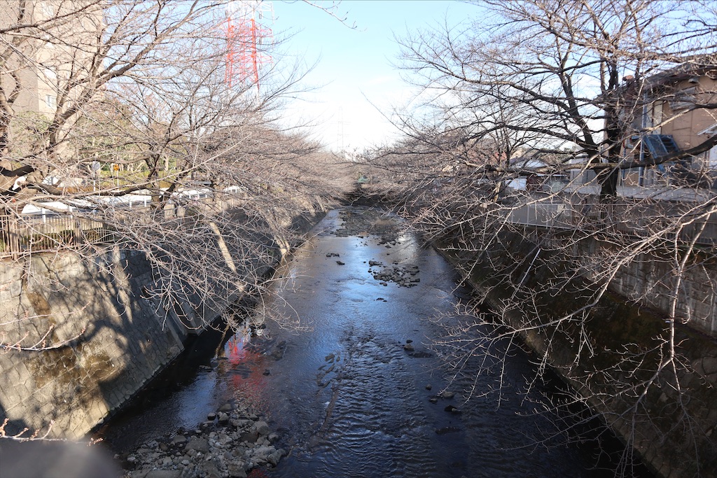 f:id:chizuchizuko:20200111002044j:image