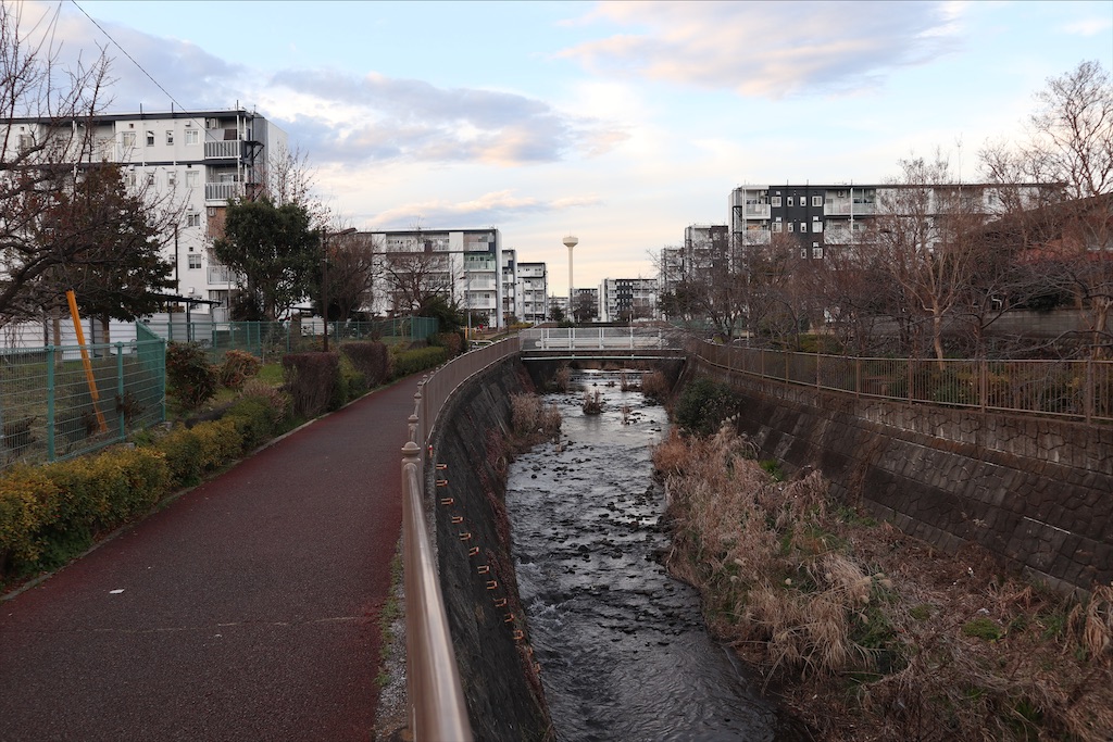 f:id:chizuchizuko:20200111002212j:image
