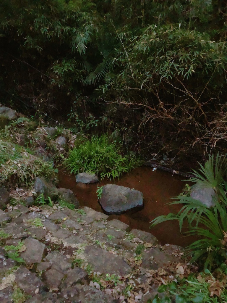 f:id:chizuchizuko:20200111002449j:image