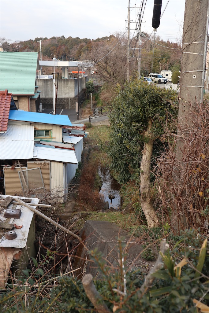 f:id:chizuchizuko:20200122194347j:image