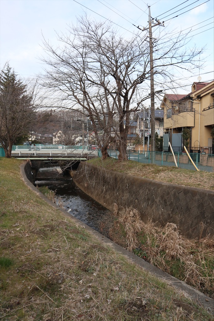 f:id:chizuchizuko:20200122194401j:image
