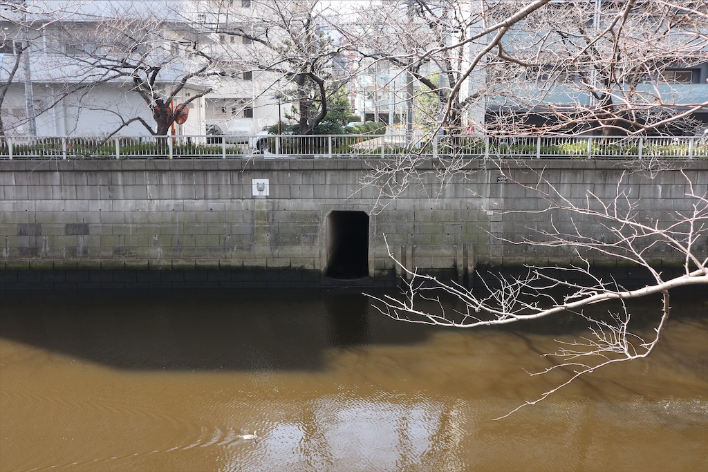 f:id:chizuchizuko:20200301151952j:plain