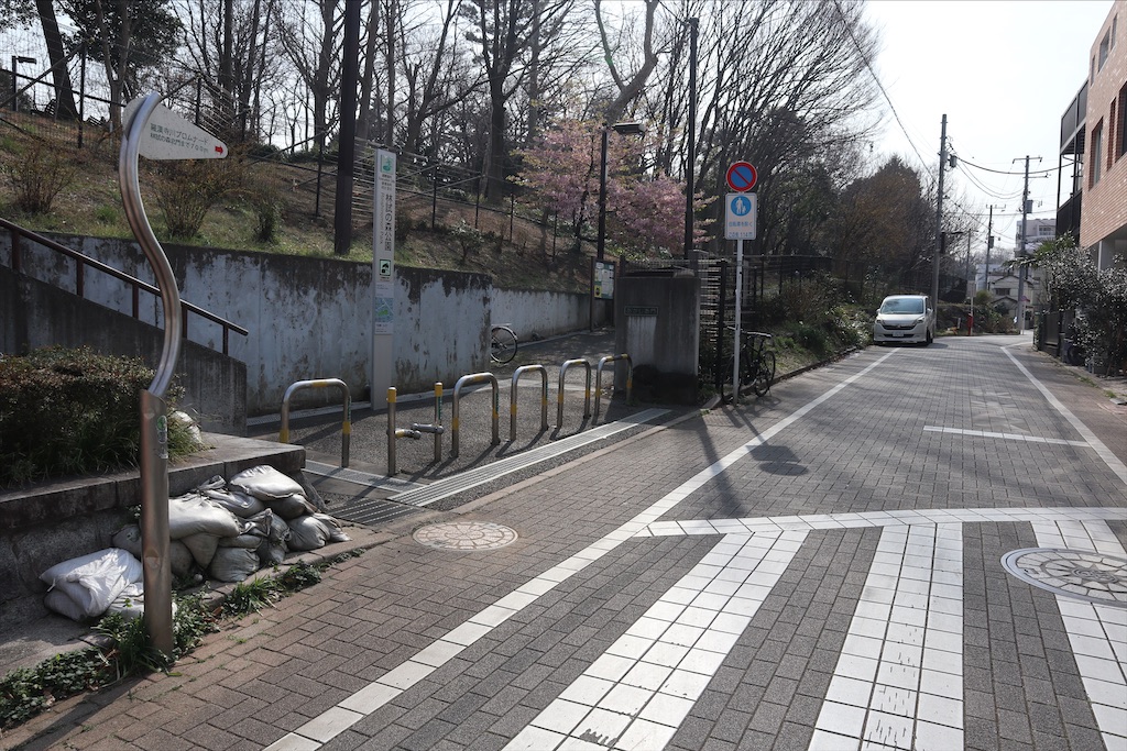 f:id:chizuchizuko:20200301152233j:image