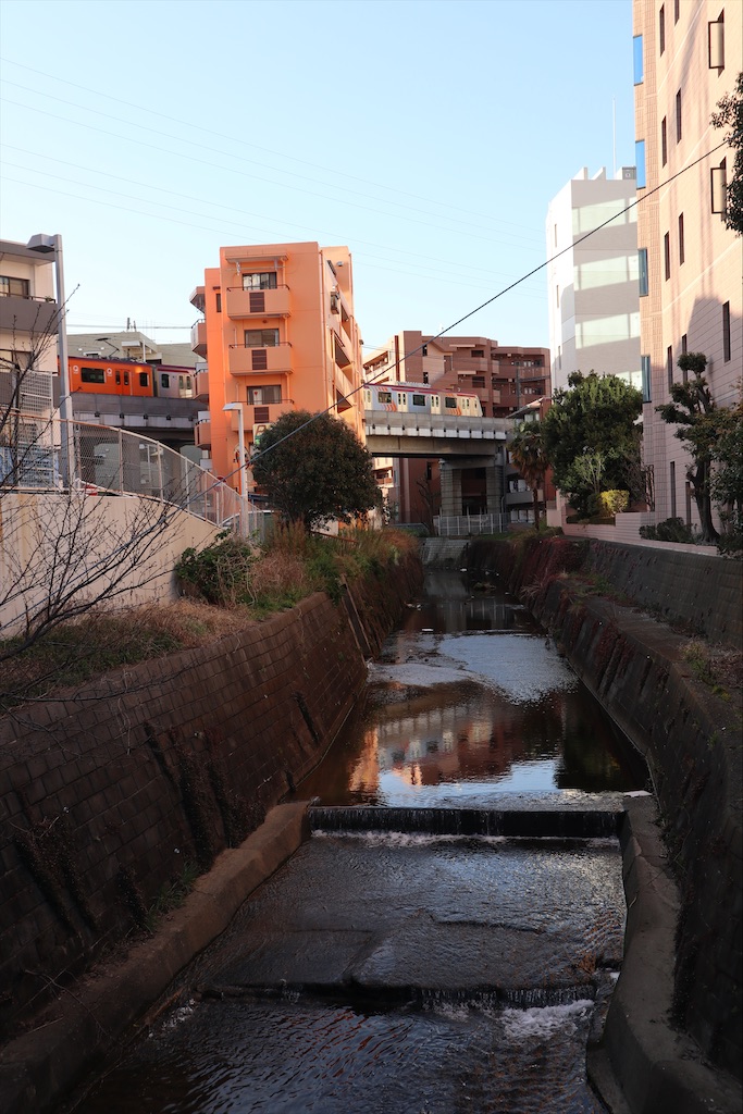 f:id:chizuchizuko:20200321110647j:plain f:id:chizuchizuko:20200321110647j:plain