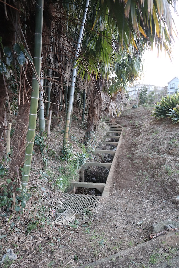f:id:chizuchizuko:20200321110704j:plain f:id:chizuchizuko:20200321110704j:plain