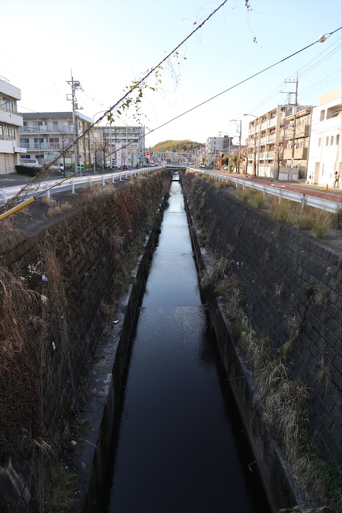 f:id:chizuchizuko:20200321110758j:plain f:id:chizuchizuko:20200321110758j:plain