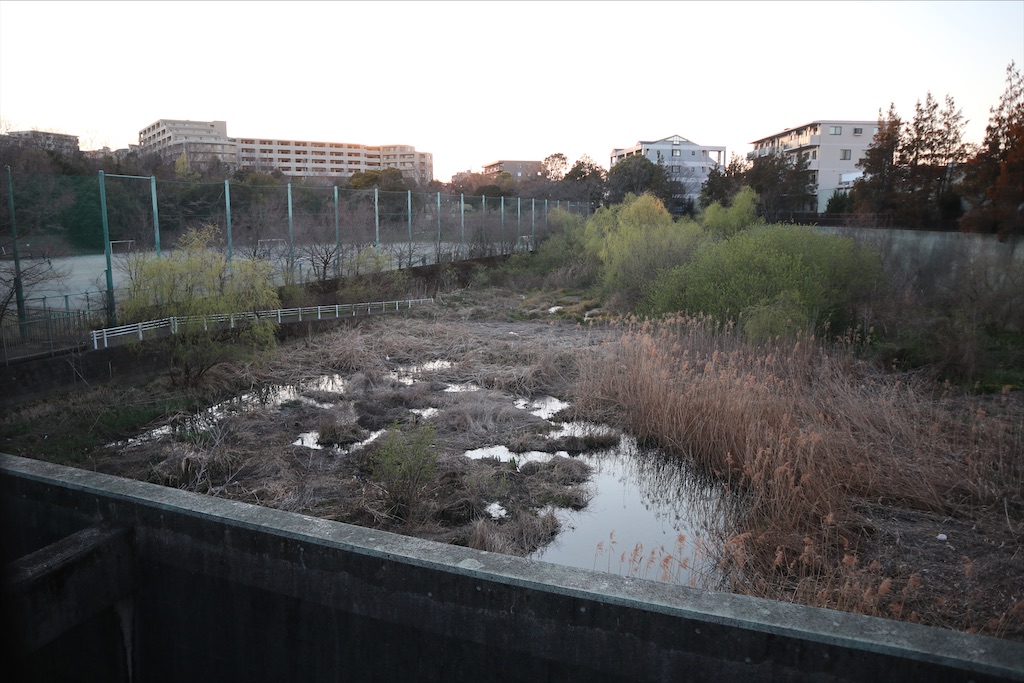 f:id:chizuchizuko:20200321110855j:plain f:id:chizuchizuko:20200321110855j:plain