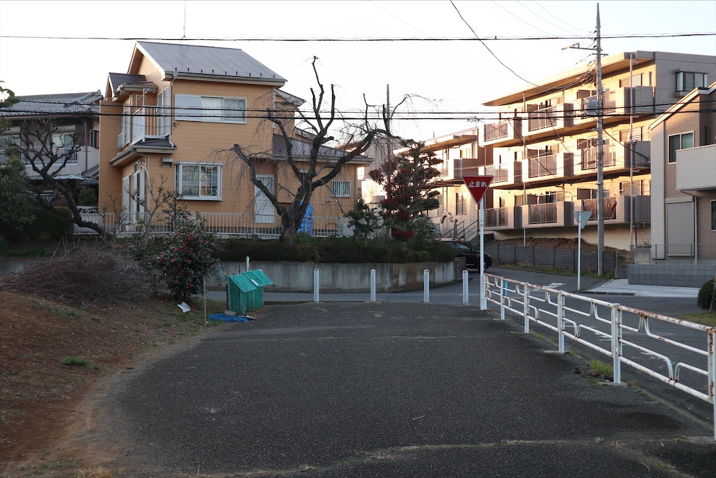 f:id:chizuchizuko:20200321110925j:plain f:id:chizuchizuko:20200321110925j:plain
