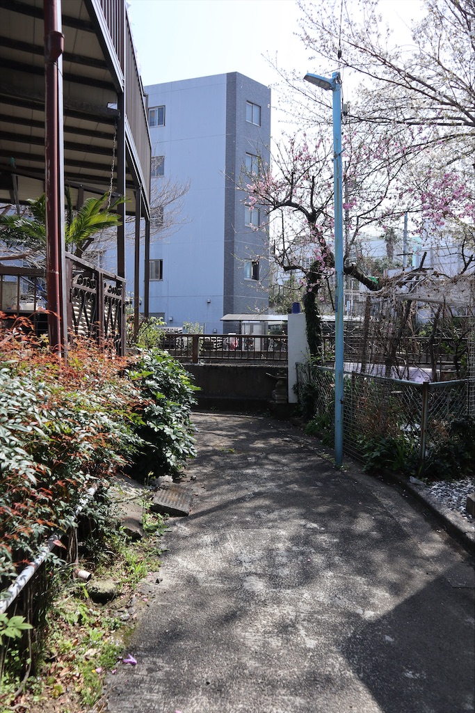 f:id:chizuchizuko:20200329165111j:plain f:id:chizuchizuko:20200329165111j:plain
