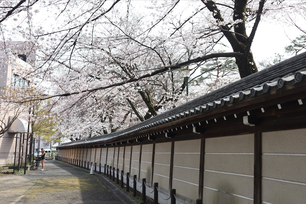 f:id:chizuchizuko:20200329165129j:plain f:id:chizuchizuko:20200329165129j:plain