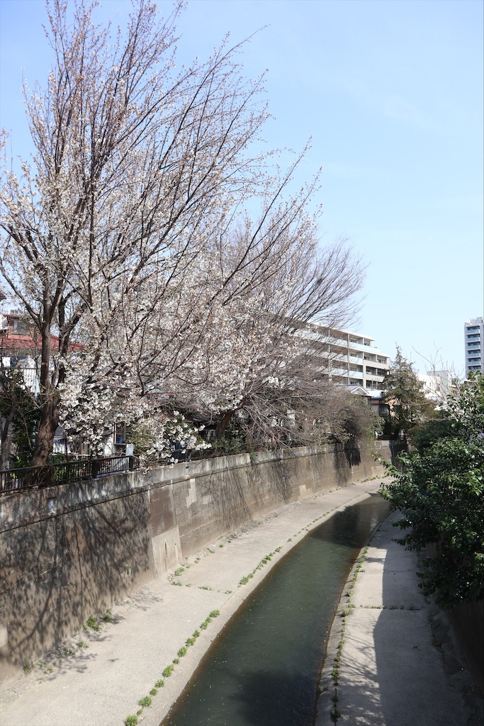 f:id:chizuchizuko:20200329165253j:image f:id:chizuchizuko:20200329165253j:image