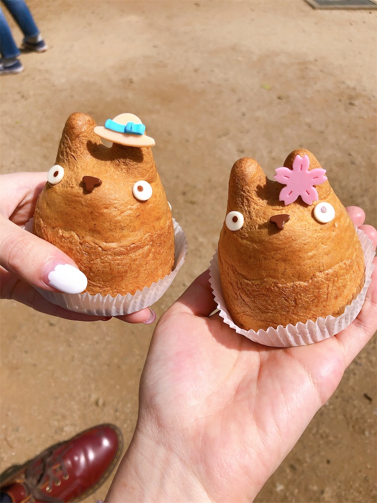 f:id:chizuchizuko:20200329170359j:plain f:id:chizuchizuko:20200329170359j:plain