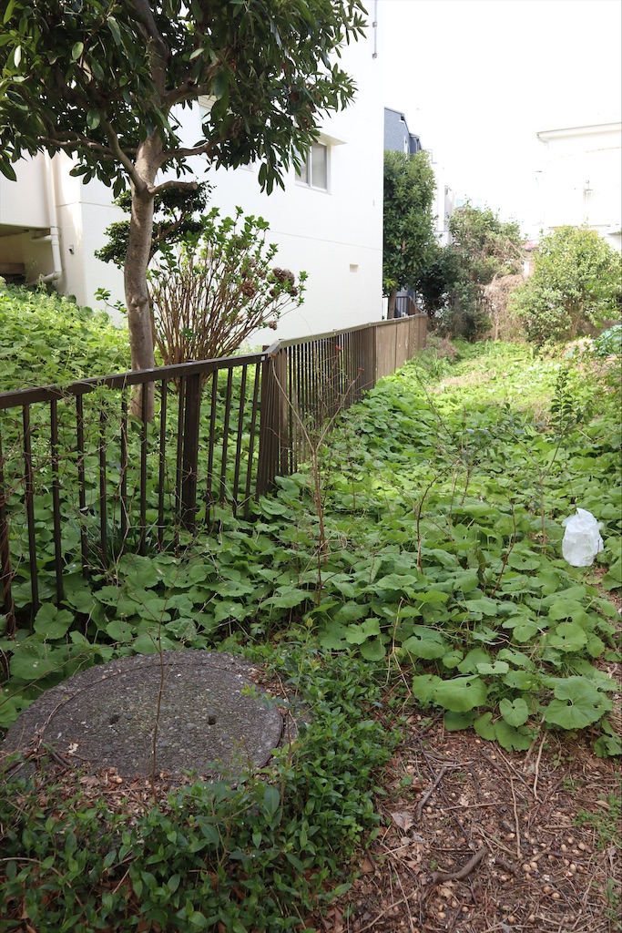 f:id:chizuchizuko:20200329190103j:plain f:id:chizuchizuko:20200329190103j:plain